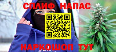 мдпв Кимры