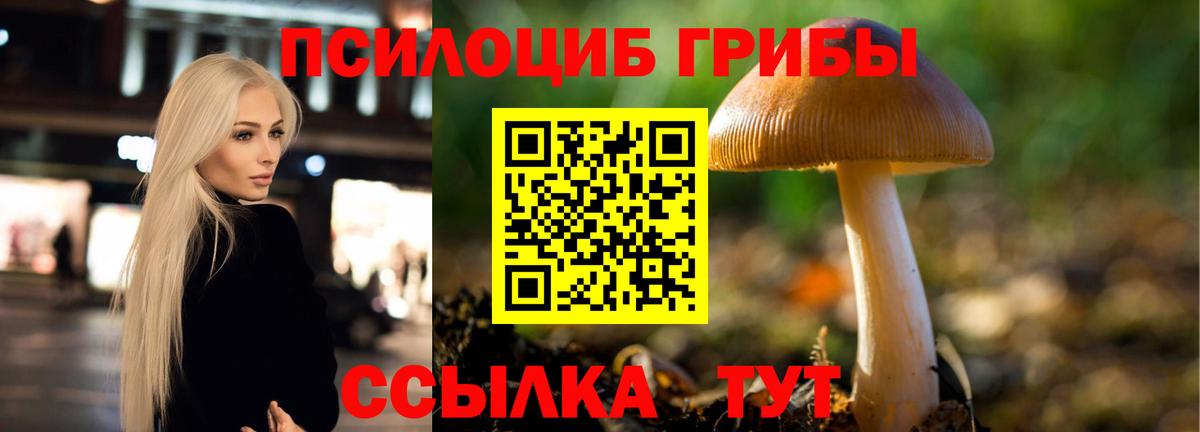 Краснодар  Псилоцибиновые грибы мухоморы  Вход с VPN 